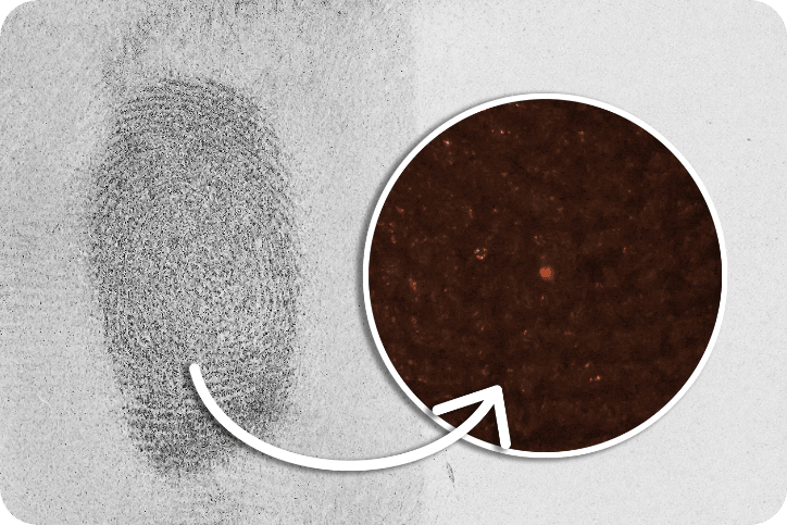 Touch DNA