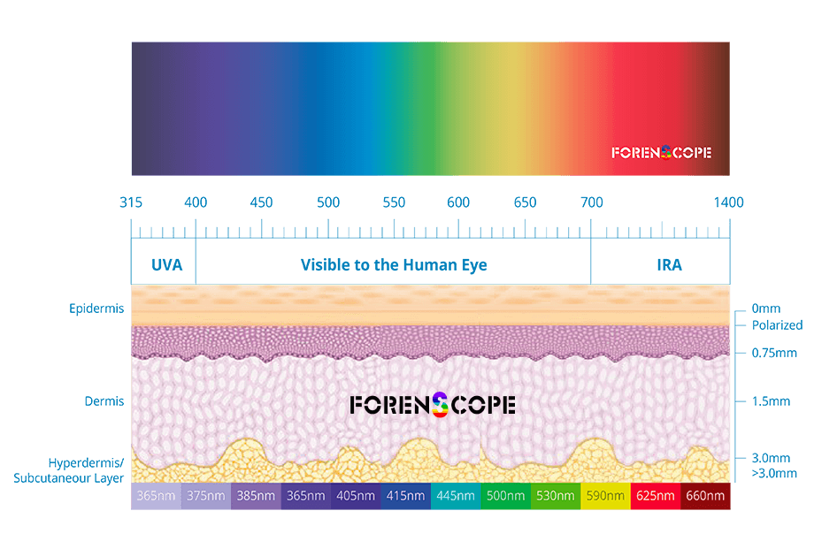 Deep Skin Multispectral Imaging Spectrum