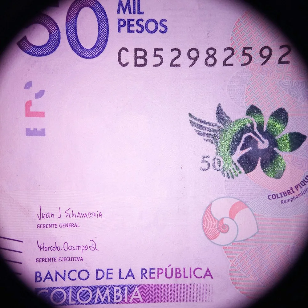 Banknot