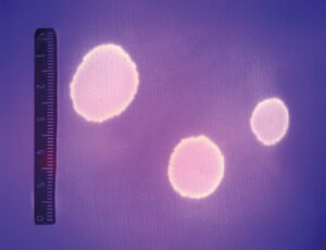 These are the correct and expected images taken by the ForenScope team using the SuperSpectral Imaging System (SSI) with the proper light and filter combinations.