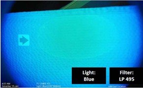 Incorrect and faulty image taken by the f+f team using wrong lighting and filter combinations with SuperSpectral V1*