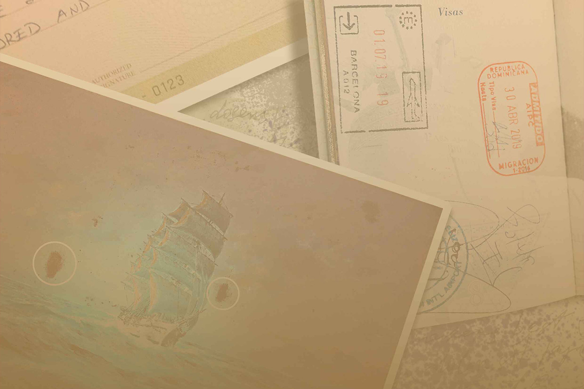 Document and Art Examination