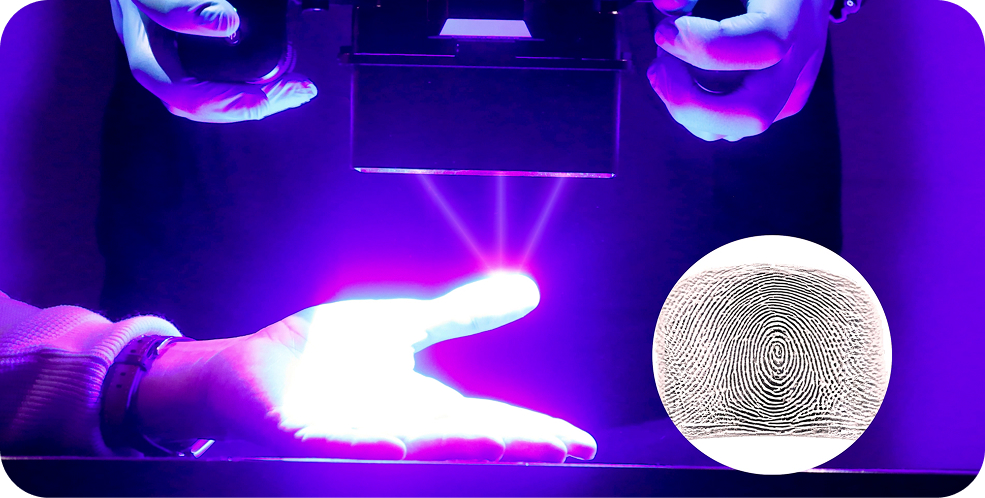 Contactless Scanning Within Seconds