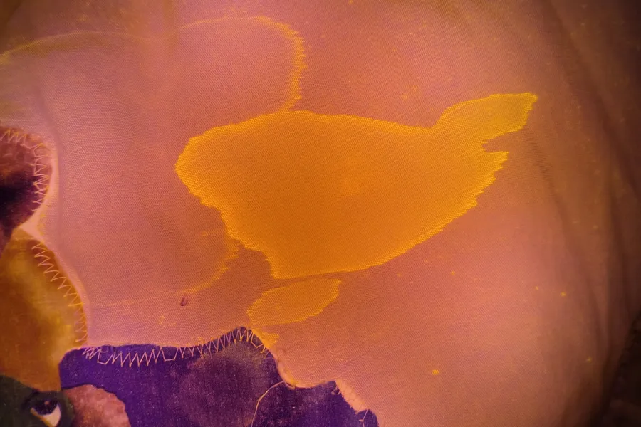 semen evidence close up image with superspectral core