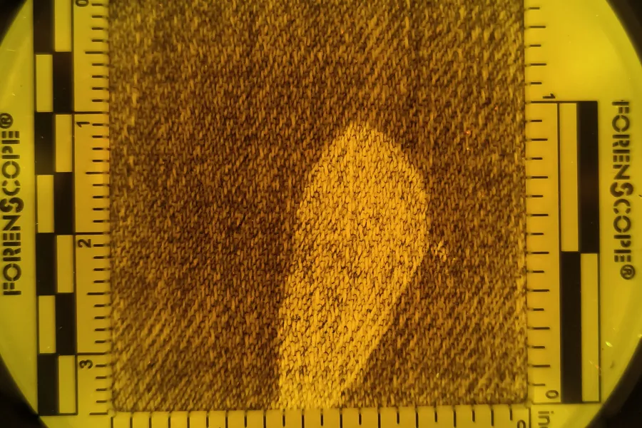 semen revealing combination with csi pro 3