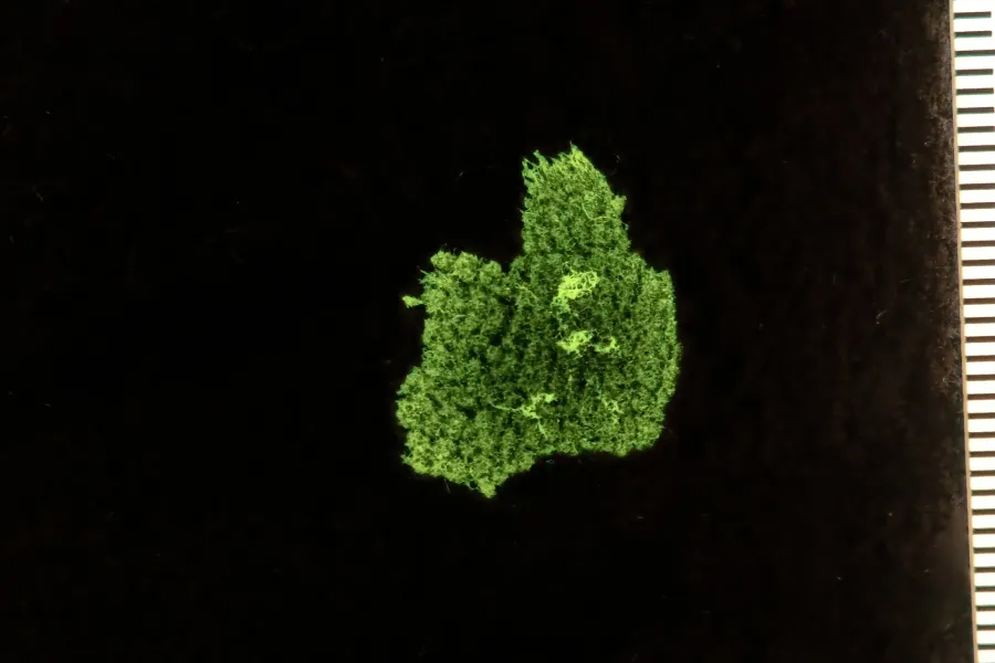 semen evidence revealing combination with superspectral core
