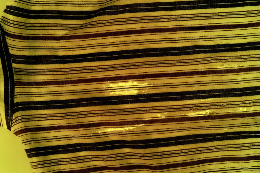Forensic imaging view revealing a semen stain on striped fabric using a selected light and filter combination.